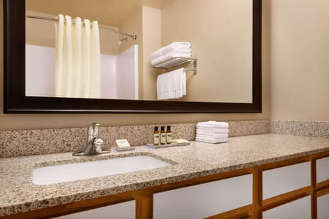 Combined shower/tub, hair dryer, towels