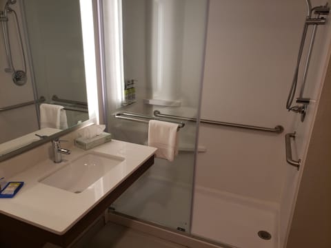 Standard Room, 1 King Bed, Accessible (Mobil, Roll Shower) | Bathroom | Hair dryer, towels