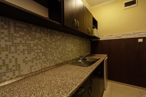 Studio (Apartment for 2+1 people) | Private kitchen | Fridge, microwave, stovetop, electric kettle