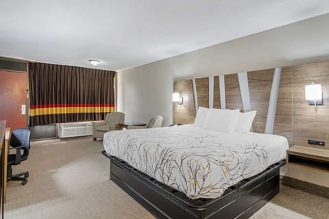 Standard Room, 1 King Bed, Non Smoking, Poolside | Premium bedding, desk, blackout drapes, iron/ironing board