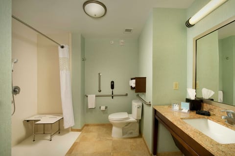 Room, 1 King Bed, Accessible, Non Smoking (Roll-in Shower) | Bathroom | Combined shower/tub, free toiletries, hair dryer, towels