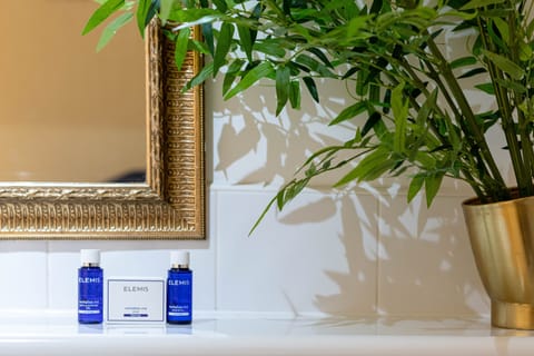 Classic Apartment | Room amenity