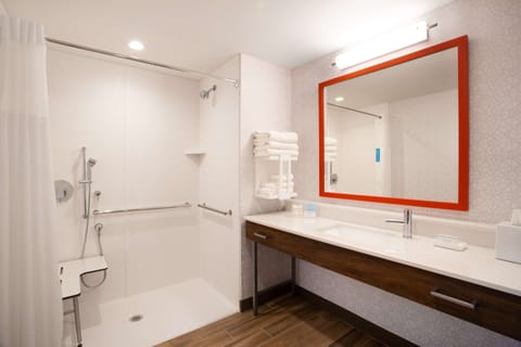 Suite, 1 King Bed, Accessible, Refrigerator & Microwave | Bathroom shower