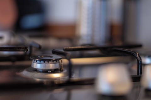 Classic Apartment | Private kitchen | Full-size fridge, microwave, oven, stovetop