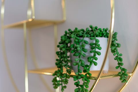 Classic Apartment | Living area | Flat-screen TV