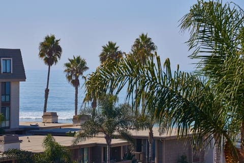 Zoomed View from Patio