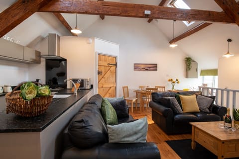 Bryn Lon Bach living room and Kitchen