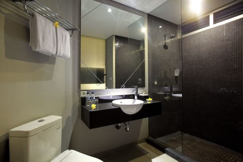 Deluxe Double Room | Bathroom | Shower, hair dryer, towels