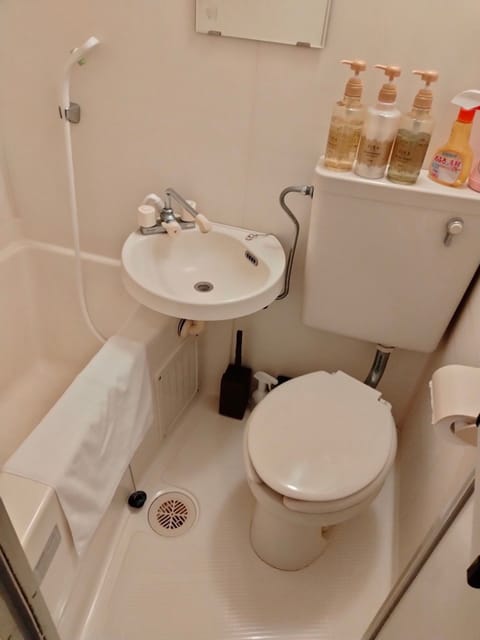 Apartment, Non Smoking | Bathroom | Combined shower/tub, hair dryer, towels, shampoo