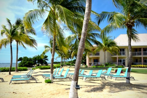 On the beach, white sand, free beach shuttle, free beach cabanas