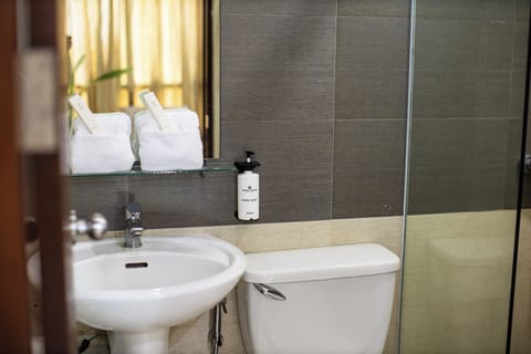 Superior Single Room | Bathroom | Shower, free toiletries, hair dryer, bidet