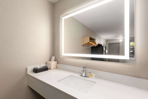 Room, 1 King Bed, Non Smoking | Bathroom | Combined shower/tub, eco-friendly toiletries, hair dryer, towels