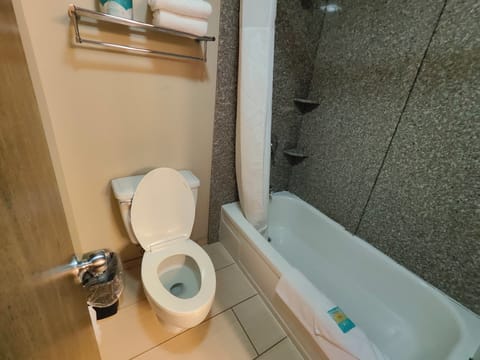 Combined shower/tub, free toiletries, hair dryer, towels