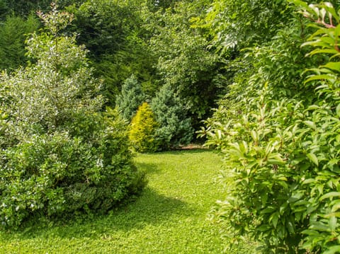 Cottage | Property grounds