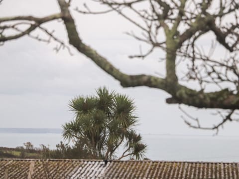 Cottage | Miscellaneous