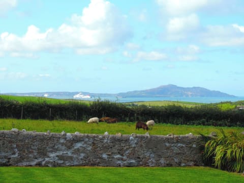 Cottage | Miscellaneous