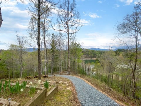 Private trail to Fontana Lake dock
