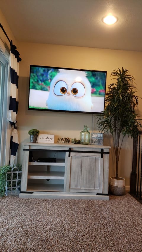 Living room,  55" smart, streaming TV