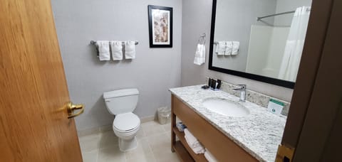 Suite, 1 Bedroom, Non Smoking | Bathroom | Combined shower/tub, free toiletries, hair dryer, towels