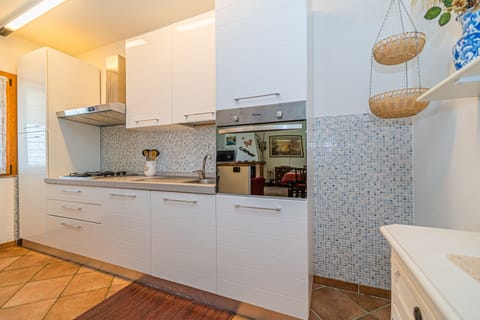 Apartment, 3 Bedrooms, Smoking, Balcony | Private kitchen