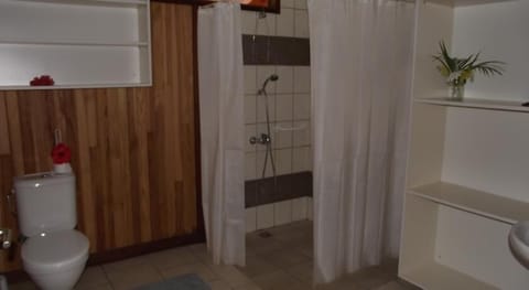 Shower, hydromassage showerhead, towels