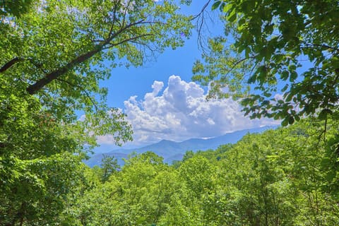 Studio (2 Bedrooms) | Property amenity