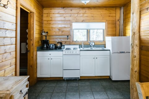 Longbranch Cabin | Private kitchen | Cookware/dishes/utensils, eco-friendly cleaning products