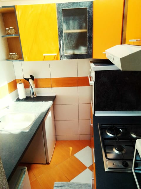 Apartment (Two Bedroom Apartment) | Private kitchen | Fridge