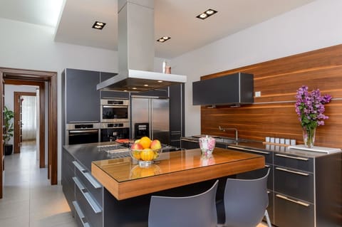 Fully equipped kitchen in the luxury seafront villa for vacation with friends in Split