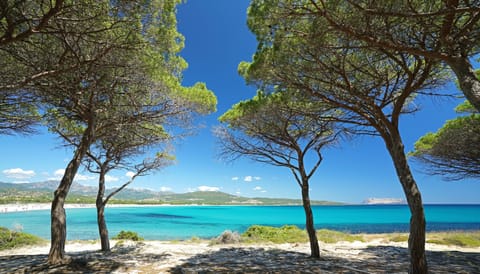 Beach nearby, white sand, beach umbrellas