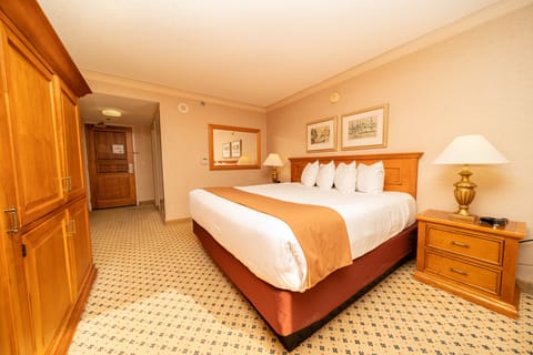 Standard Room, 1 King Bed | Hypo-allergenic bedding, in-room safe, iron/ironing board, free WiFi