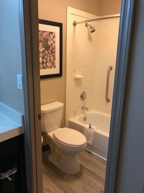 Combined shower/tub, free toiletries, hair dryer, towels