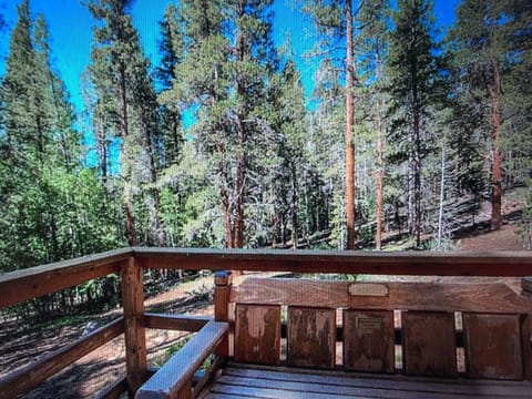 View of our 30+ acres from the deck