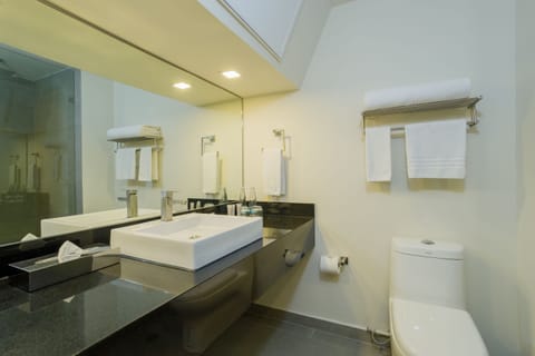 Suite Ejecutiva King | Bathroom | Shower, rainfall showerhead, free toiletries, hair dryer