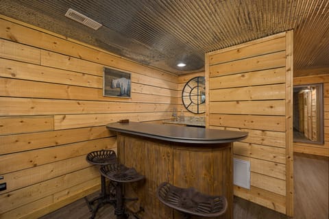 Enjoy the Bar Area in the Media Room