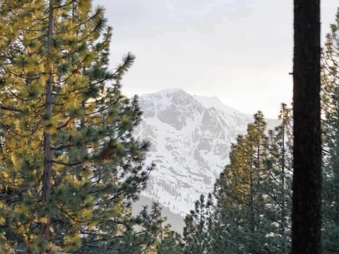 Tallac View - Back Yard