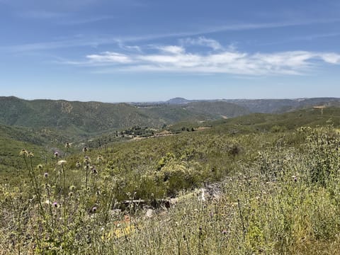 Driving to Mokelumne Hill