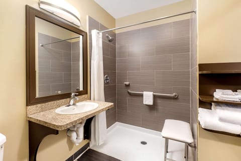 Room, 1 Queen Bed, Accessible, Non Smoking (Mobility Accessible) | Bathroom shower