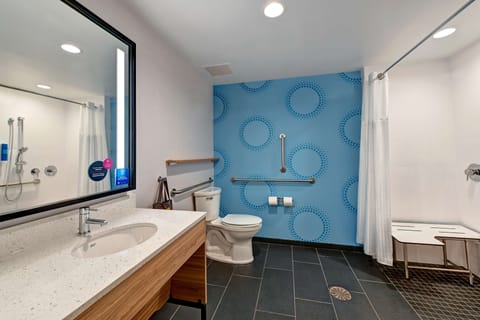 Business Room, 1 King Bed, Accessible (Roll-In Shower) | Bathroom shower