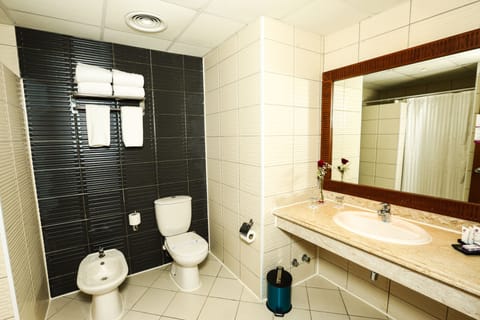 Shower, free toiletries, hair dryer, bidet