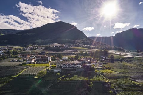 Vogelperspektive auf das Guesthouse