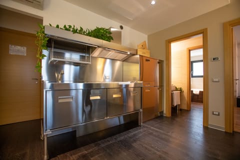 Superior Apartment, 1 Bedroom (1) | Private kitchen