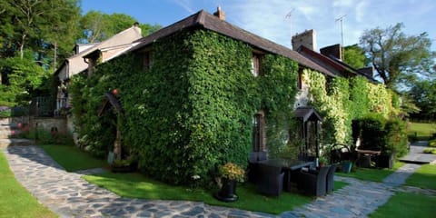 Honeysuckle on the corner