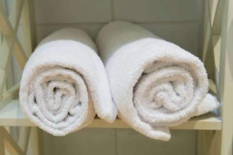 Executive Twin | Bathroom | Free toiletries, hair dryer, towels