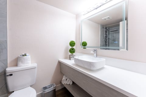 Business Suite - King, (Non Smoking) | Bathroom | Free toiletries, hair dryer, towels, soap