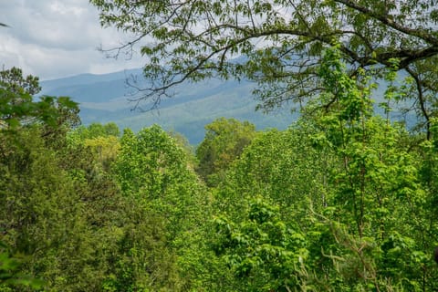 Rear deck mountain view