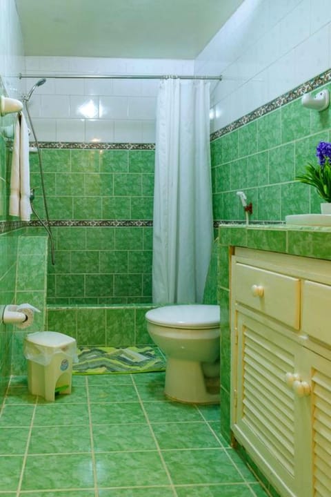 Comfort Double Room | Bathroom | Shower, rainfall showerhead, towels, soap