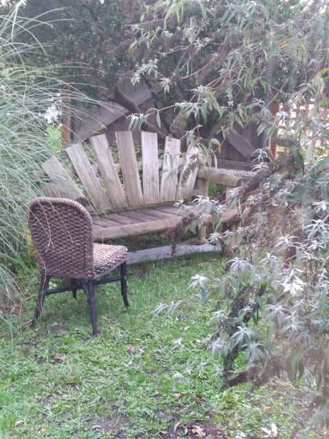 garden bench April 2021