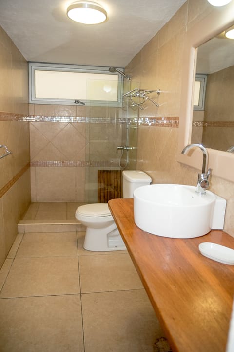 Suite | Bathroom | Shower, free toiletries, hair dryer, towels