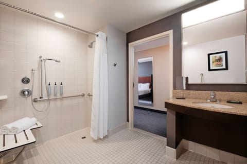 Standard King Room | Bathroom | Hair dryer, towels